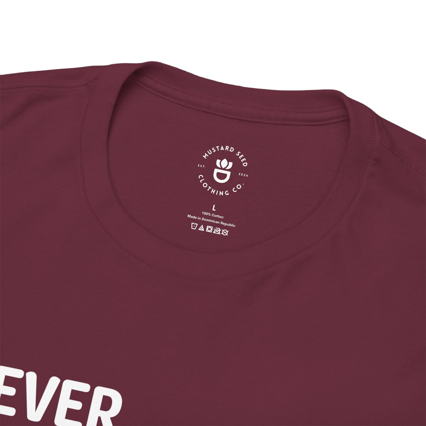 "Apostle Paul" Unisex Heavy Cotton Tee