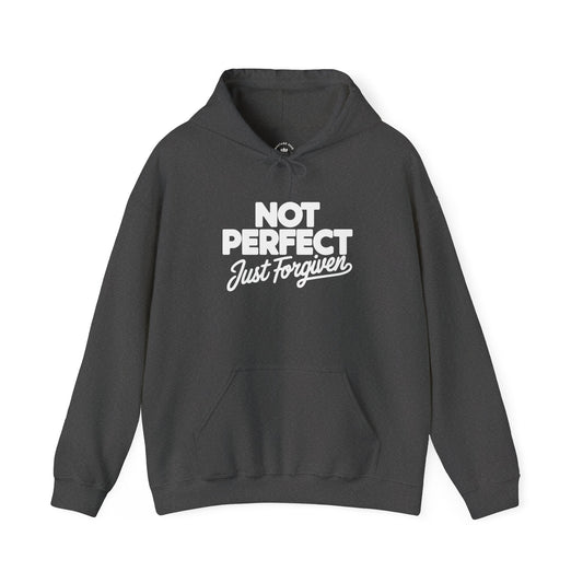 “Not Perfect” Unisex Heavy Blend™ Hooded Sweatshirt